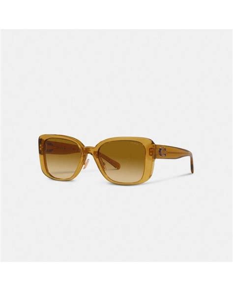 coach oversized square sunglasses.